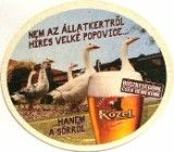 kozel11.jpg